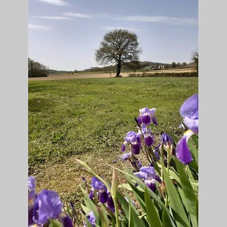 Gite Du Clos Baste Moncaup  Экстерьер фото